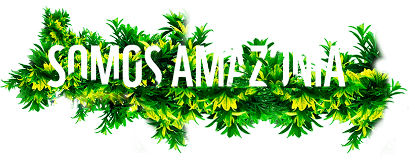 AMAZÔNIA BRASIL AMÉRICA DO SUL